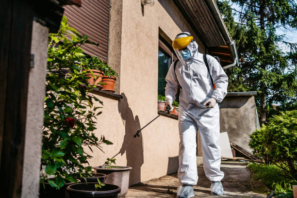 Best Affordable Pest Control Services  in Titusville, PA