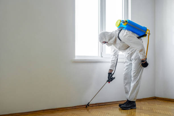 Best Mosquito Control Services  in Titusville, PA