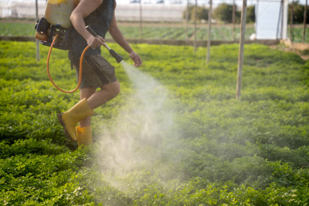 Best Pest Removal Services  in Titusville, PA